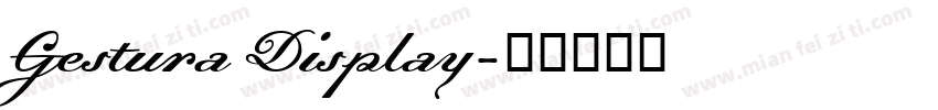 Gestura Display字体转换